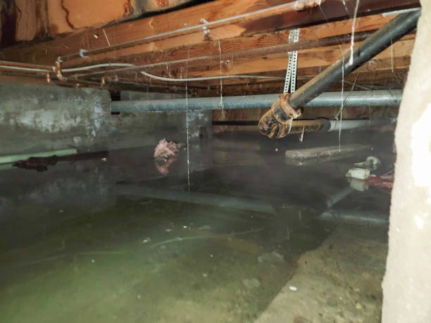 Water damage restoration insurance claims in IN