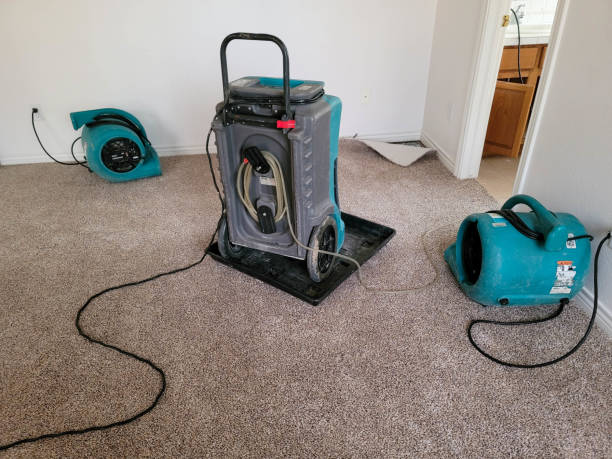 Best Flood restoration services  in Bloomgton, IN