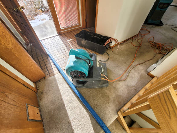 Best Local water damage restoration  in Bloomgton, IN