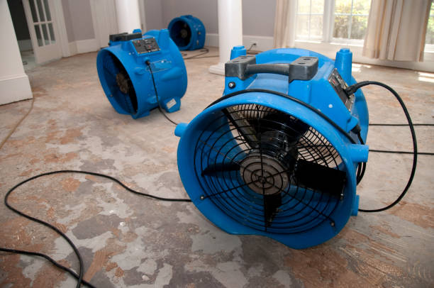 Best Commercial water damage restoration  in Bloomgton, IN