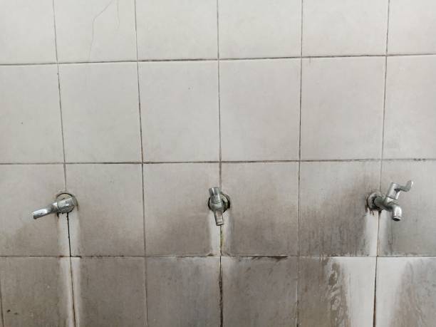 Best Water damage restoration near me  in Bloomgton, IN