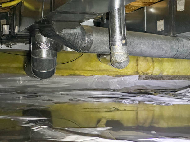 Best Sewage cleanup and water damage restoration  in Bloomgton, IN
