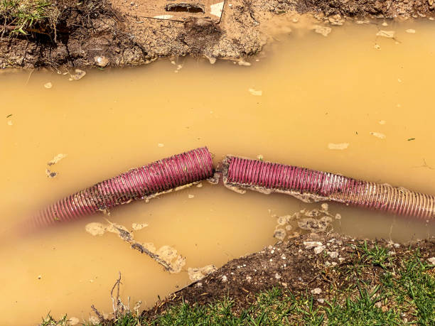  Bloomgton, IN Water damage restoration Pros